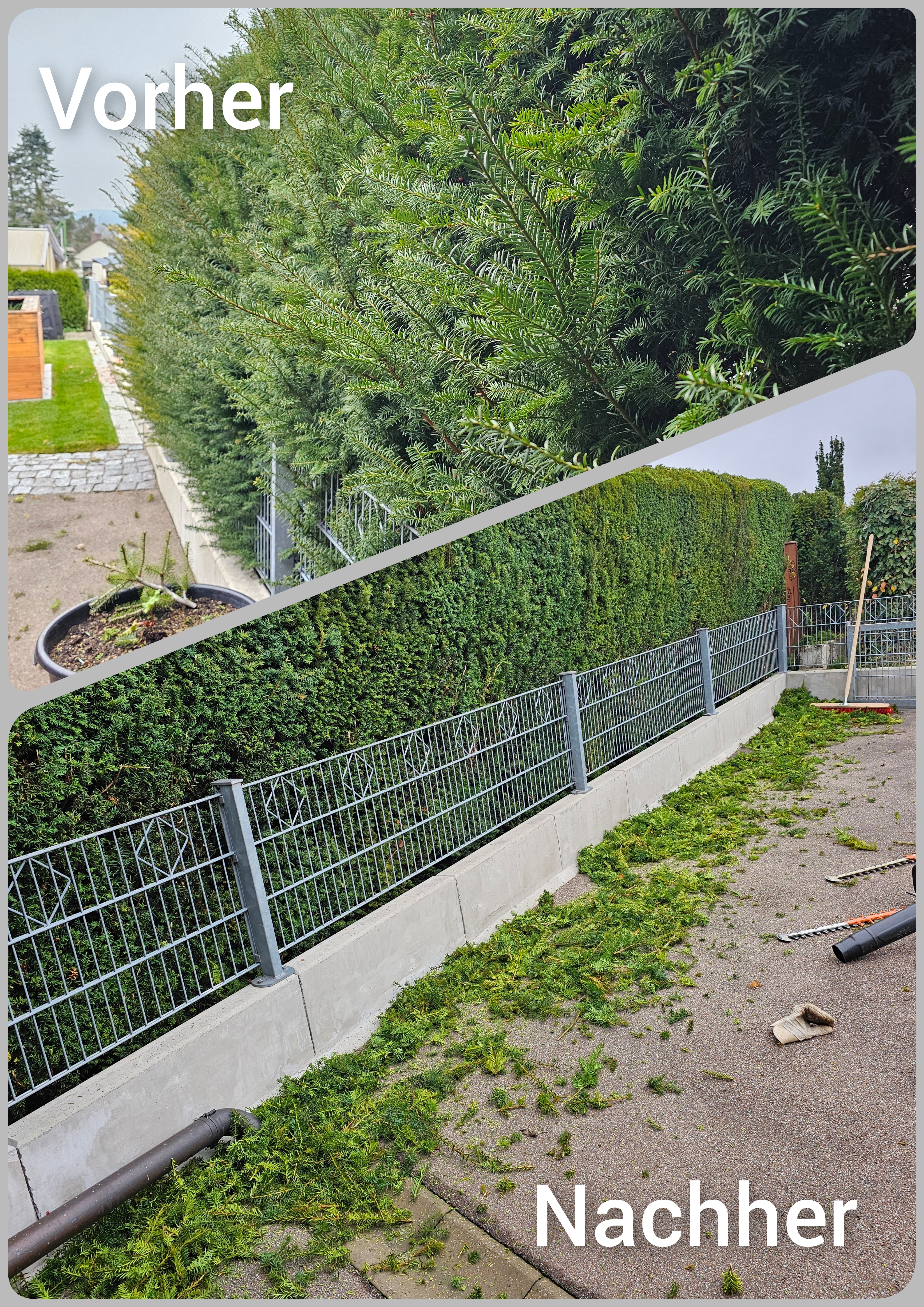 Gr&uuml;nanlagen-Pflege 23