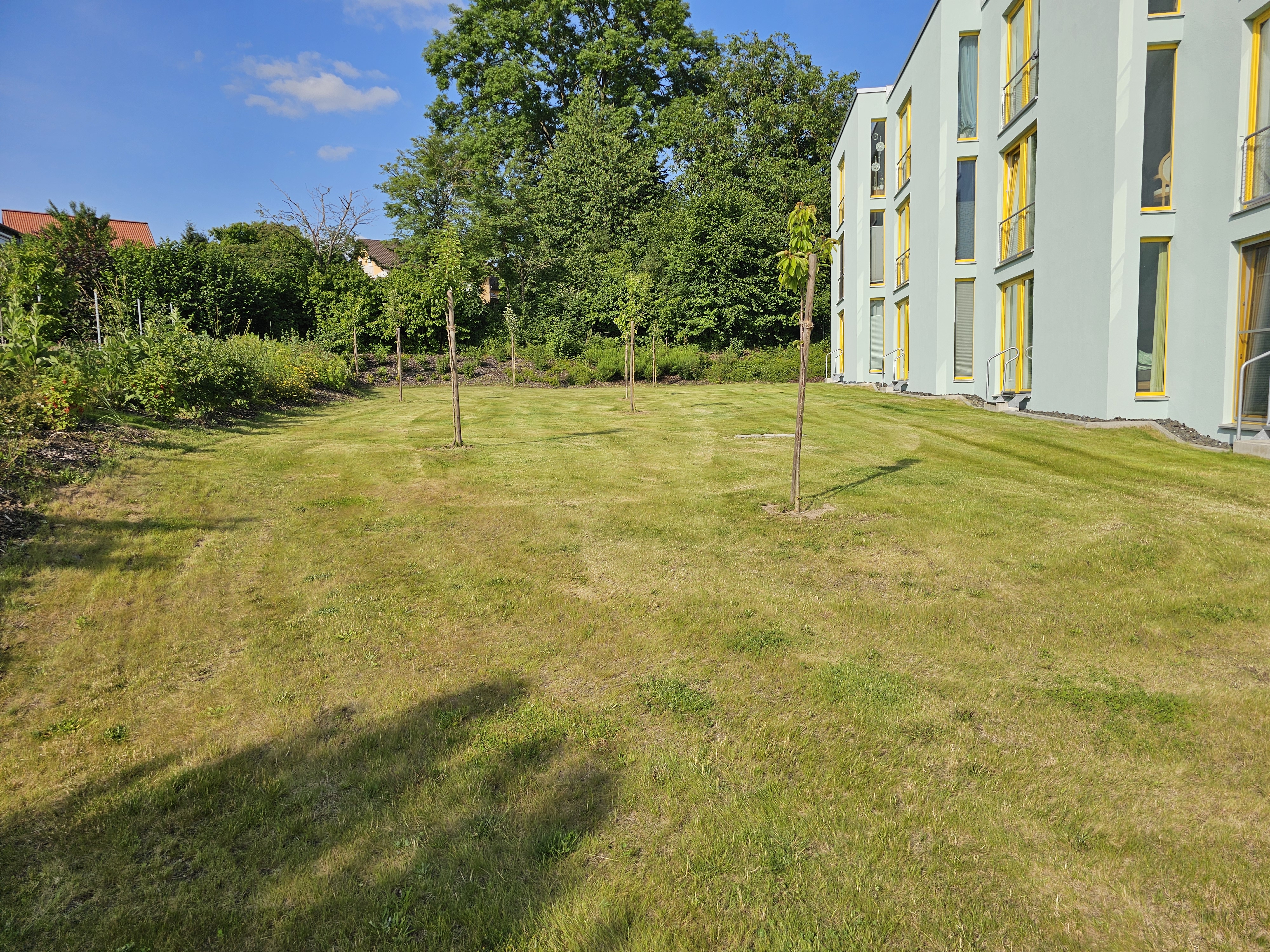Gr&uuml;nanlagen-Pflege 8